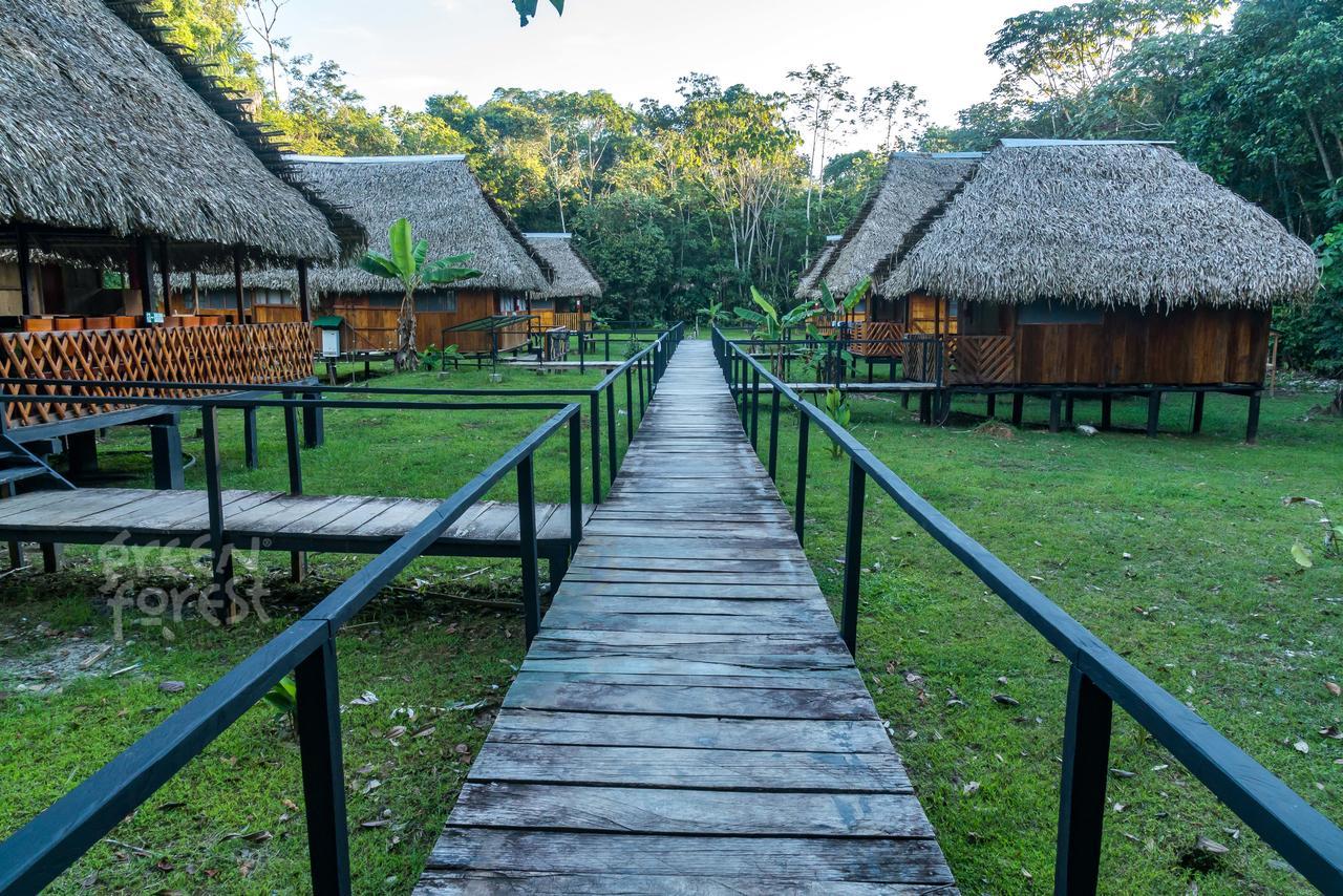 Green Forest Ecolodge Puerto Montufar Eksteriør billede