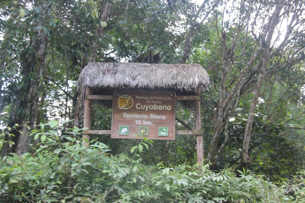 Green Forest Ecolodge Puerto Montufar Eksteriør billede